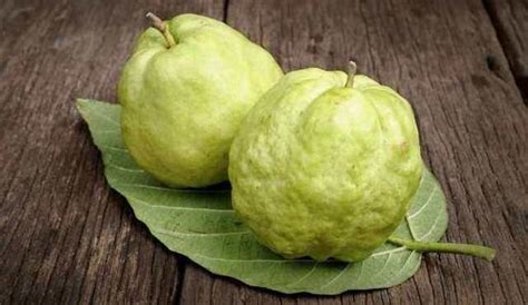 Гуава фрукт: фото, де росте і як їдять, смак, корисні властивості для ...