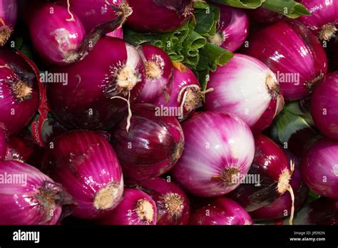 Gemüse Stehen Zwiebeln Fotos Und Bildmaterial In Hoher Auflösung Alamy
