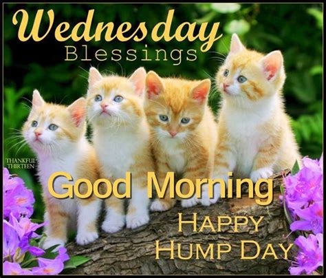 Good Morning Happy Hump Day Desi Comments