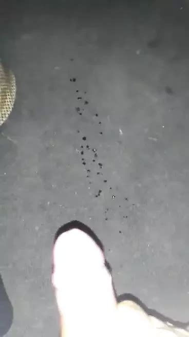 V Deos Porno Gay De Coreanos Gratis Xhamster