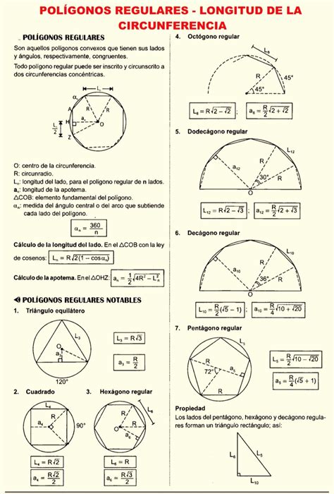 Circunferencia Proporcionalidad Y Semejanza Artofit