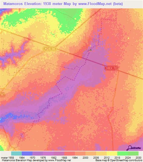 Elevation Of Matamorosmexico Elevation Map Topography Contour