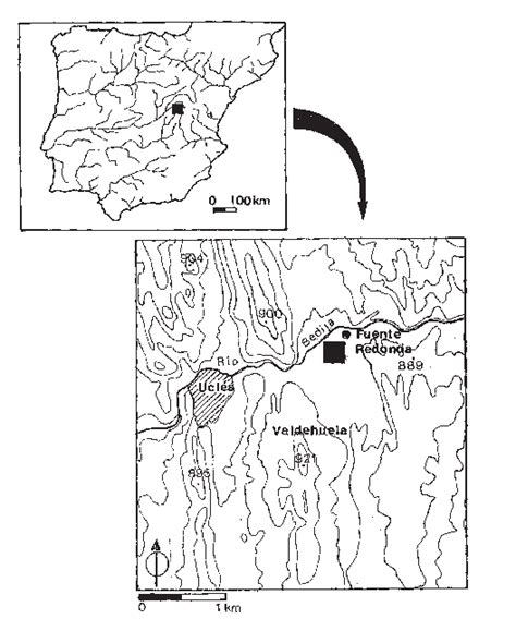 Mapa De Localización De La Necrópolis De Haza Del Arca ı Aproximada