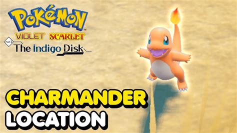 How To Get CHARMANDER In Pokemon Scarlet Violet The Indigo Disk DLC