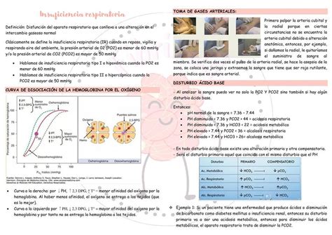 Fisiopatolog A De La Insuficiencia Respiratoria Fisiopatolog A Hot