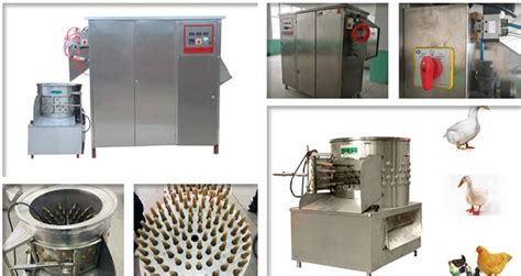 Automatic Chicken Scalding Plucking Machine With Best Price