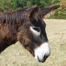 Paramétrage compte mail free sur outlook 2019 ou 2021 - Microsoft Q&A