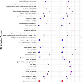 Functional Enrichment Analysis Of The Trans Target Genes Of Predicted