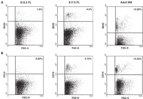 Flow Cytometry Analysis Of B Cell Antigenic Surface Markers B220 And Download Scientific