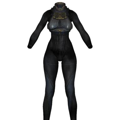 Blades Bikini Muneate Remodeled At Skyrim Nexus Mods And Community