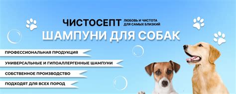 Чистосепт | Шампуни для собак | "Чистосепт" - это российское ...