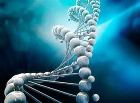 Qué Es El Genoma Humano Msc Noticias