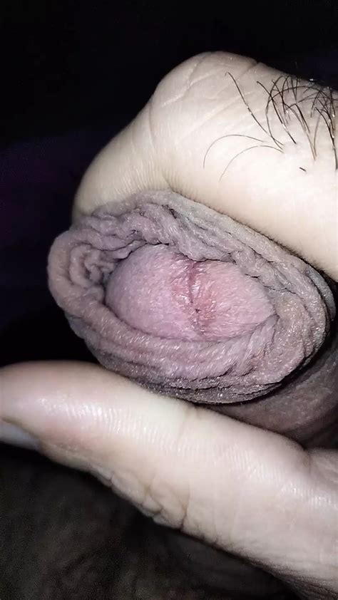 Video Porno Il Pi Aggiornato Porno Italiano Gay Xhamster