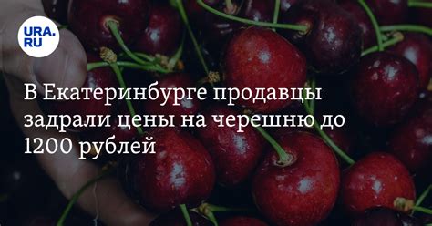 В Екатеринбурге продавцы задрали цены на черешню до 1200 рублей, 29 мая ...