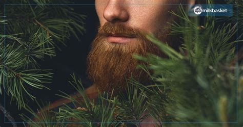 6 Beard Grooming Tips That Every Man Should Know To Maintain A Healthy