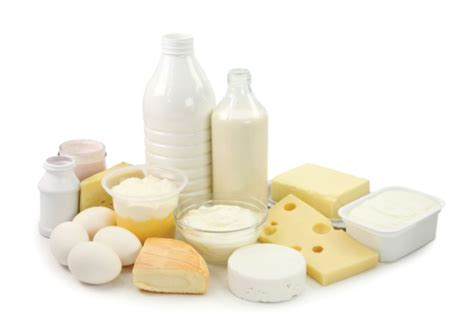 Brucella ~ Microbiología de los alimentos.
