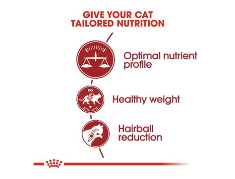 Royal Canin Fit 32 Cat Food Buy Online Spr Centre Uk