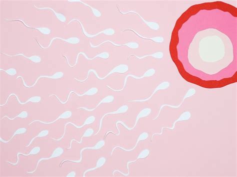 Cheryl Phua When You Can Have Sex During IVF Or Egg Freezing The Advertiser