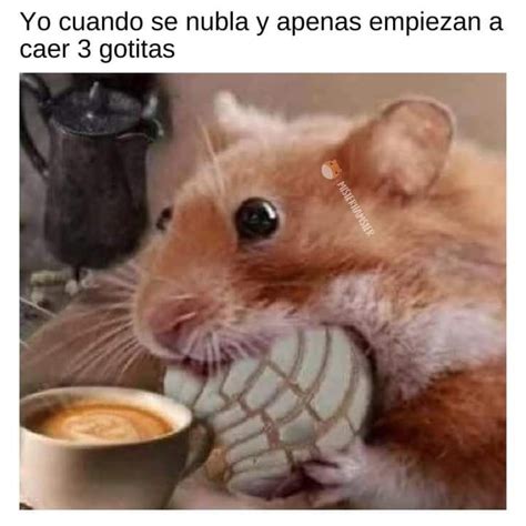 Pin de Ana Baltazar en Memes en 2023 Frases de celos Imágenes