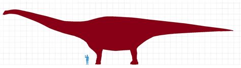 Patagotitan mayorum vs human size comparison - Our Planet