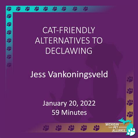 Cat-friendly Alternatives to Declawing – Michigan Pet Alliance