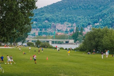 Neckarwiese Heidelberg Neckarwiese Heidelberg Yorumları Tripadvisor