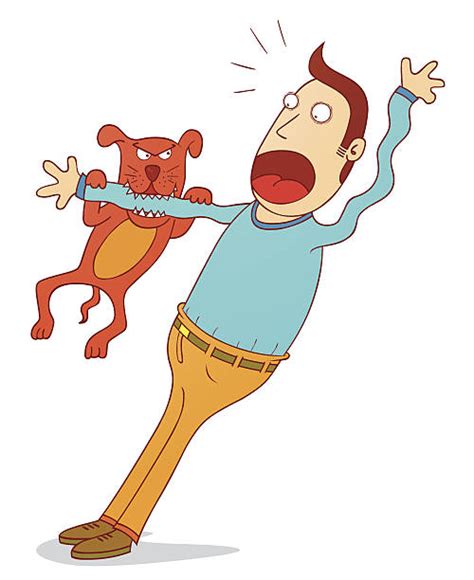 dog bite clip art vector images illustrations istock