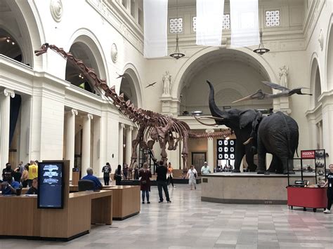 Field Museum El Museo De Historia Natural De Chicago Viajes Globetrotter