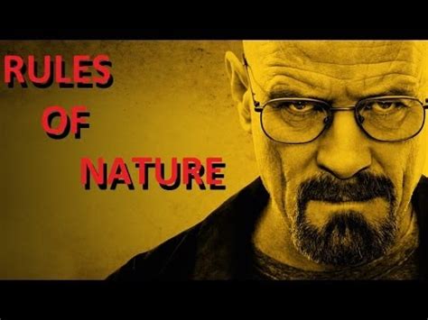 Rules Of Nature Goes With Anything Breaking Bad Youtube