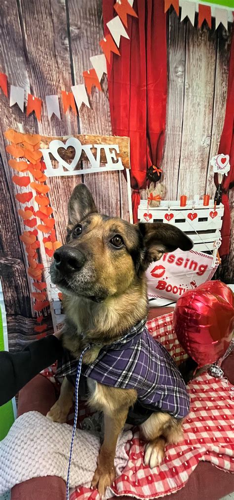 Uncovering Hidden Secrets in Reno, NV: How to Conduct a Warrant Search 8