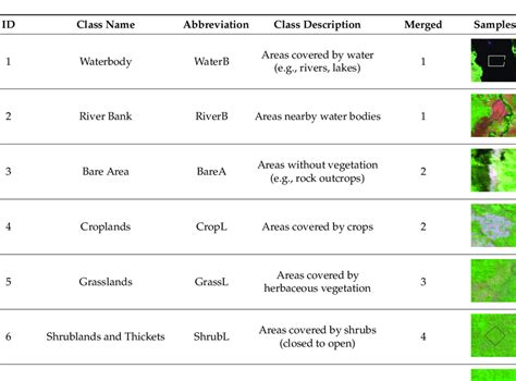 classes   classification  merged  class distribution