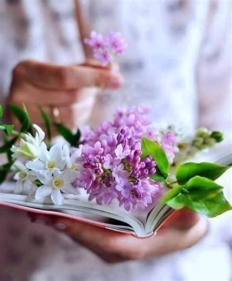 Pin by .｡.:* ☆:**:.𝓗𝓪𝓽𝓲𝓬𝓮 𝓞𝔃 on 𝓕𝓵𝓸𝔀𝓮𝓻𝓼 🎀💐 | Amazing flowers, Beautiful ...