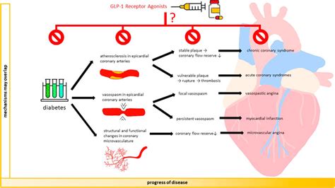 Frontiers GLP 1 Receptor Agonists And Coronary Arteries From