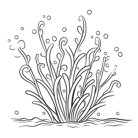 Seagrass Doodle Vector Drawing Stock Vector Outline Sketch Sea Weed Drawing Sea Weed Outline