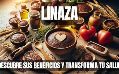 Beneficios De La Linaza Para Tu Salud