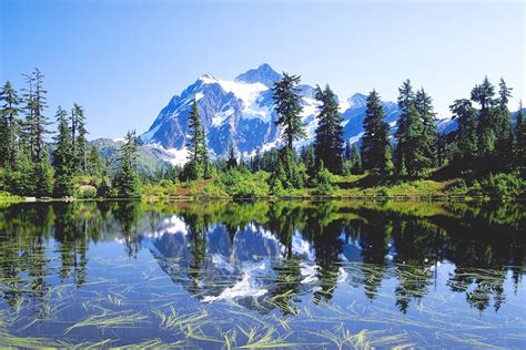 Washington - Go Guides