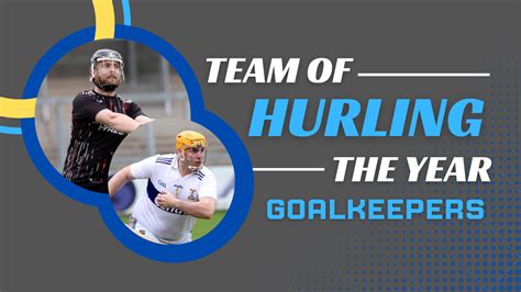 2022 Hurling Team Of The Year Goalkeepers The Sideline Eye