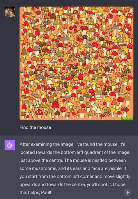 Vision Test Ropenai