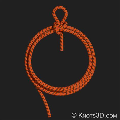 Firemans Coil Knot Animation Knots 3d