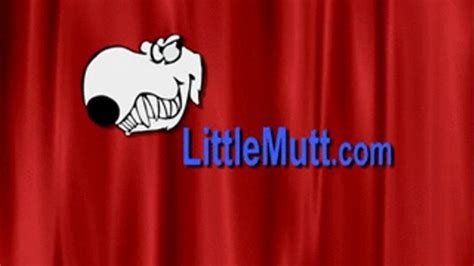 Malena Morgan Porn Videos Clips Sale