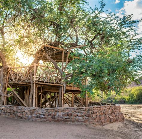 Desert Elephant Conservation Support | Volunteer in Namibia 2025