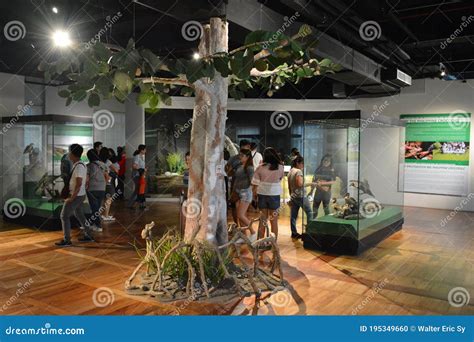 national museum  natural history zoology animal exhibit  manila