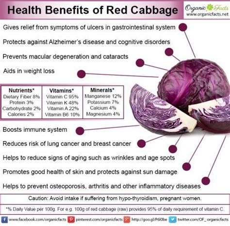 9 Impressive Benefits Of Red Cabbage In 2020 With Images Health Coconut Health Benefits Ulcers