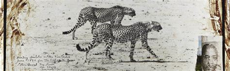 Peter Beard Descubre Un Fotógrafo Biblioteca De Fotografía Iefc