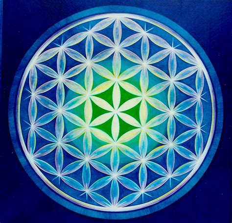 fleur de vie – Amarudi