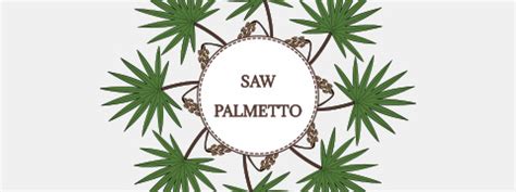 Saw Palmetto Splendid Wellness Incentives Of This Herbal Formulation