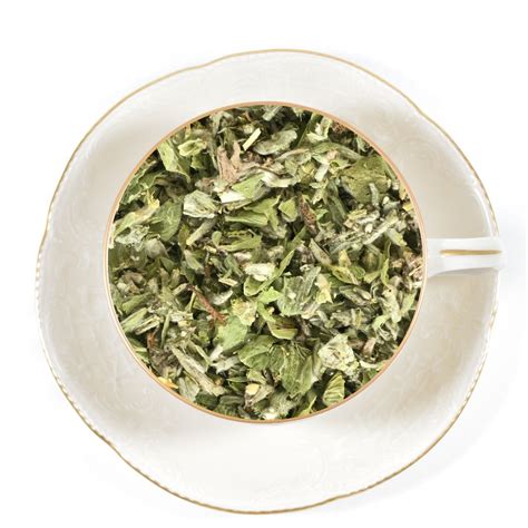 Greek Mountain Tea | Premium Tea Merchants Online
