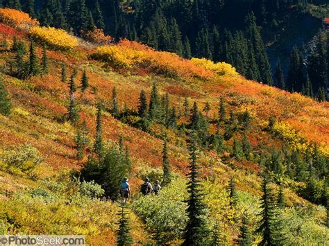 kentucky fall foliage | Three women hikers explore fall foliage colors ...