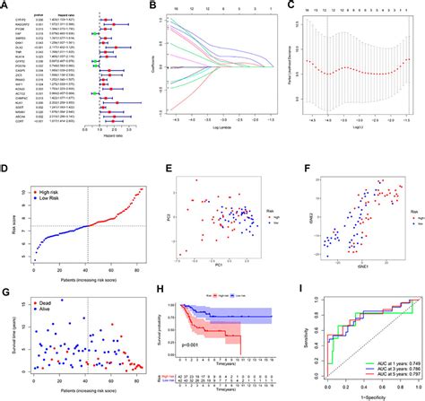 Frontiers Comprehensive Analysis Of Hypoxia Related Genes For