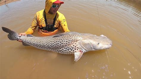 surubi de kg en el rio bermejo youtube